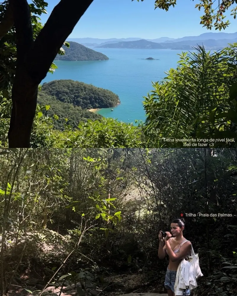 Dominick no Rio de Janeiro